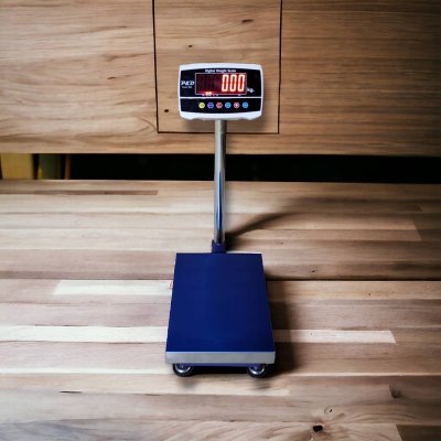 8801 เครื่องชั่งตั้งพื้น พิกัด 30 kg. - 150 kg.