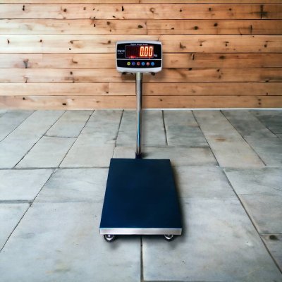 8801 เครื่องชั่งตั้งพื้น พิกัด 30 kg. - 150 kg.
