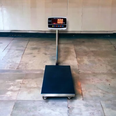 8801 เครื่องชั่งตั้งพื้น พิกัด 200 kg. - 300 kg.