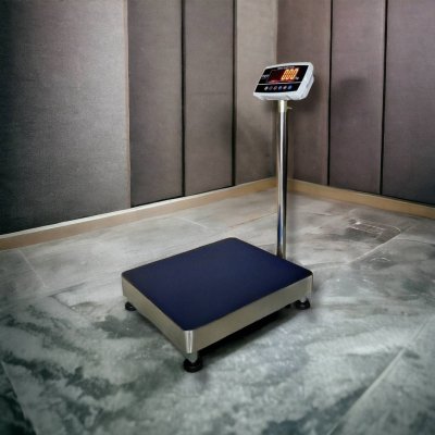 8801 เครื่องชั่งตั้งพื้น พิกัด 500 kg. ค่าละเอียด 100 g.