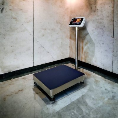 8801 เครื่องชั่งตั้งพื้น พิกัด 30 kg. - 150 kg.