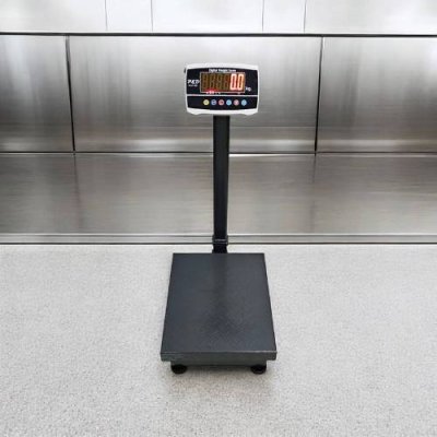 8801 เครื่องชั่งเสาพับ พิกัด 300 kg. ค่าละเอียด 100 g.