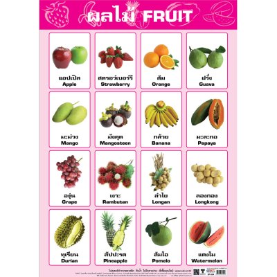 โปสเตอร์ความรู้ โปสเตอร์การศึกษา คำศัพท์ผลไม้ Fruit EP-504