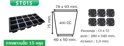 ST015 ถาดเพาะเมล็ดขนาด 15 หลุม