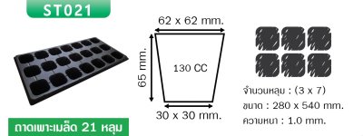 ST021 ถาดเพาะเมล็ดขนาด 21 หลุม