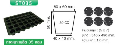 ST035 ถาดเพาะเมล็ดขนาด 35 หลุม