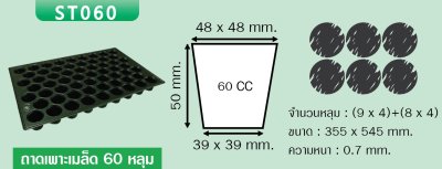 ST060 ถาดเพาะเมล็ดขนาด 60 หลุม