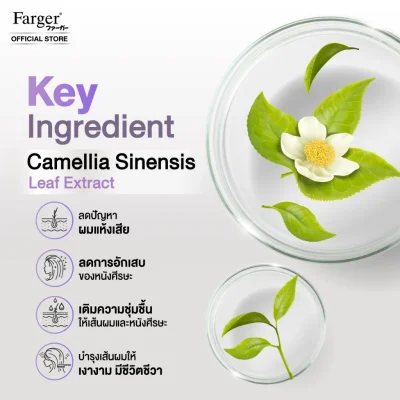 Farger ฟาร์เกอร์ โปรเฟสชั่นแนล แฮร์ บลีชชิ่ง พาวเดอร์ ไวโอเล็ท 400 กรัม - ผงฟอกม่วง ลดไรเหลือง