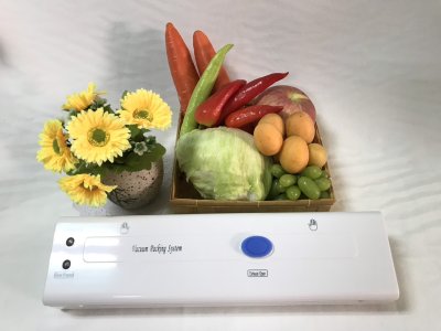 เครื่องซีลสูญญากาศ รุ่น DZ-108