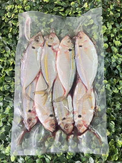 ถุงสุญญากาศลายเรียบซีล 3 ด้าน แบบบาง (หนารวม 170 ไมครอน) (100 ใบ/แพ็ค)