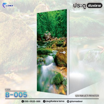 Waterfall print door (LOMA DOOR)