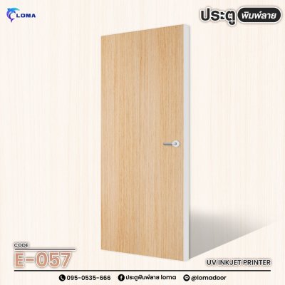 Textured printed door (LOMA brand) Textured printed door (LOMA brand)