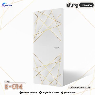 Textured printed door (LOMA brand)