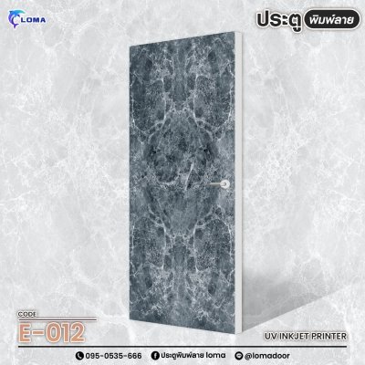 Textured printed door (LOMA brand) Textured printed door (LOMA brand)