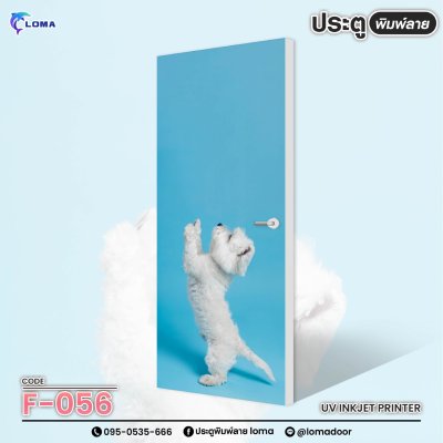 animal print doorr (LOMA brand)