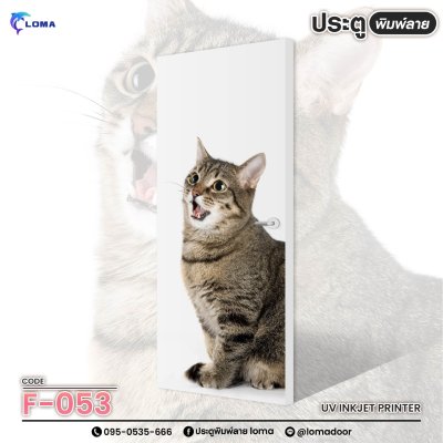animal print doorr (LOMA brand)