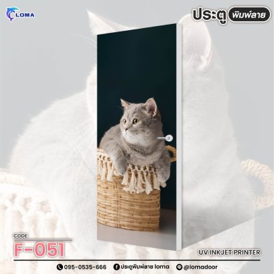 animal print doorr (LOMA brand)