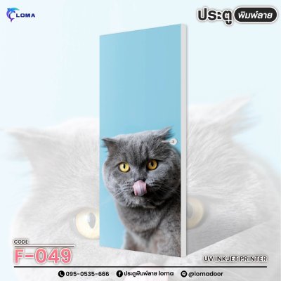 animal print doorr (LOMA brand)