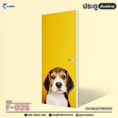 animal print doorr (LOMA brand)