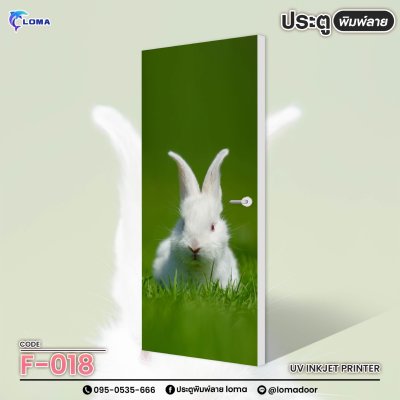 animal print doorr (LOMA brand)