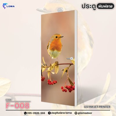 animal print doorr (LOMA brand)