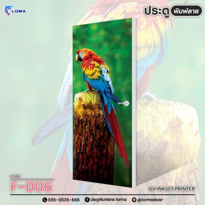 animal print doorr (LOMA brand)