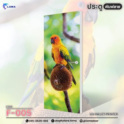 animal print doorr (LOMA brand)