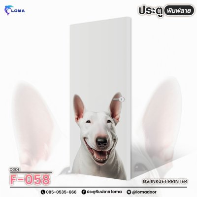 animal print doorr (LOMA brand)