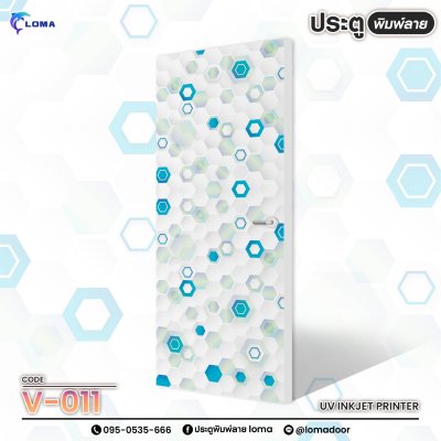 geometric print door (LOMA brand)