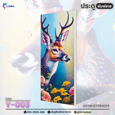 The door is printed with images from AI  (LOMA brand)