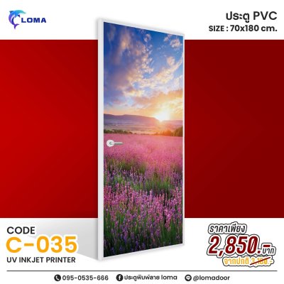 PVC printed door 70x180, special discoun (LOMAbrand)
