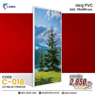 PVC printed door 70x180, special discoun (LOMAbrand)
