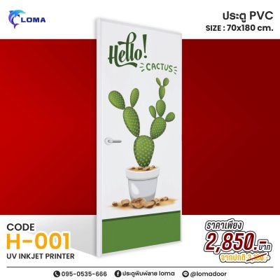 PVC printed door 70x180, special discoun (LOMAbrand)