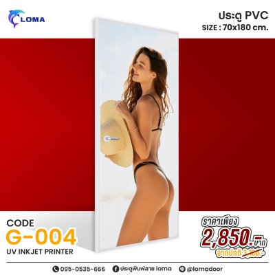 PVC printed door 70x180, special discoun (LOMAbrand)