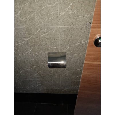Stainless Steel Bathroom Tissue Holder (The toilet)