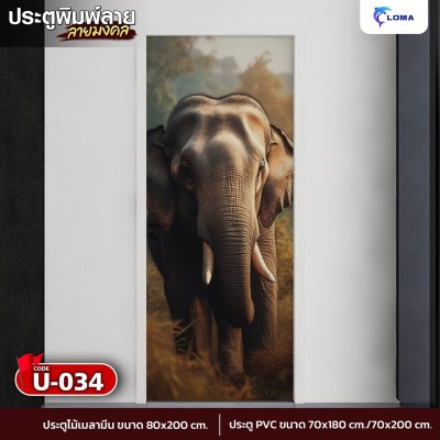 Door printed with auspicious elephant pattern (LOMA DOOR)