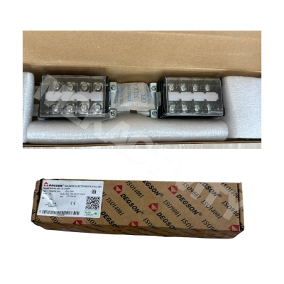 DEGSON DGR40-04P-13-10A(H)