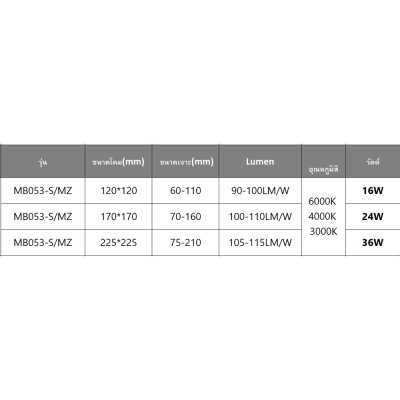 LED Panel Light  16W - MB053-S/MZ