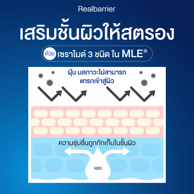เรียล แบริเออร์ เอ็กซ์ตรีม ครีม ไลท์ เซ็ท (POGON)