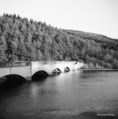 KENTMERE PAN 200 35x30.5m