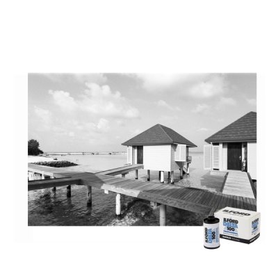 ILFORD DP100 135 36exp