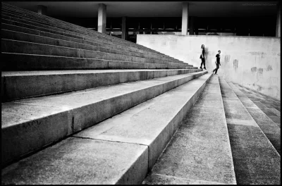 KENTMERE PAN 100 135 36exp