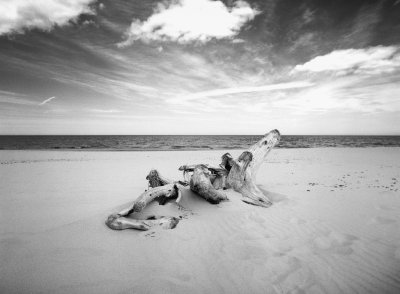 ILFORD DP100 135 36exp