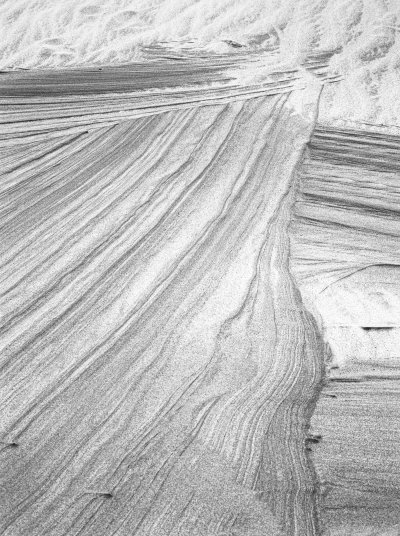 ILFORD DP100 135 36exp