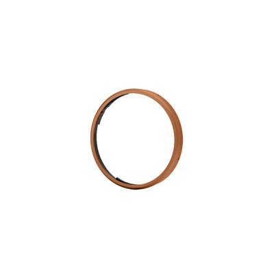 RICOH GN-2 Ring Cap