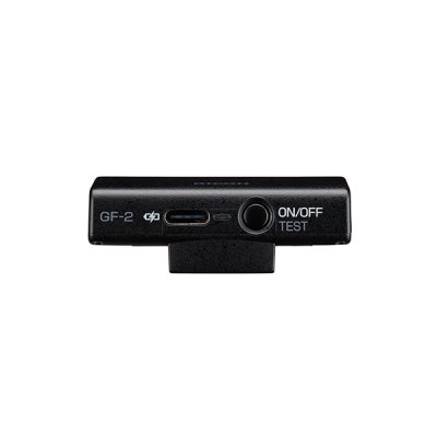 RICOH GF-2 External Flash