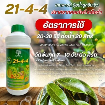 21-4-4 เทนพาวท์
