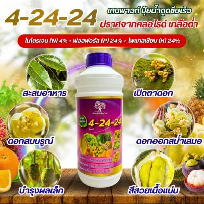 4-24-24 เทนพาวท์