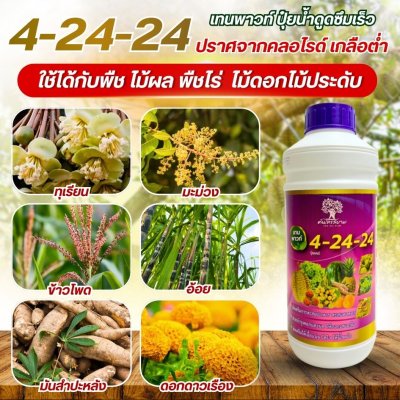 4-24-24 เทนพาวท์