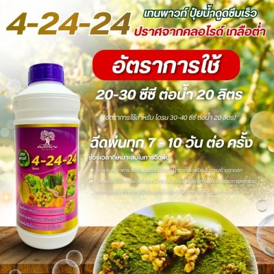 4-24-24 เทนพาวท์